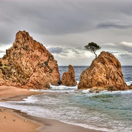 Lets Holidays&business Hébergement de vacances *