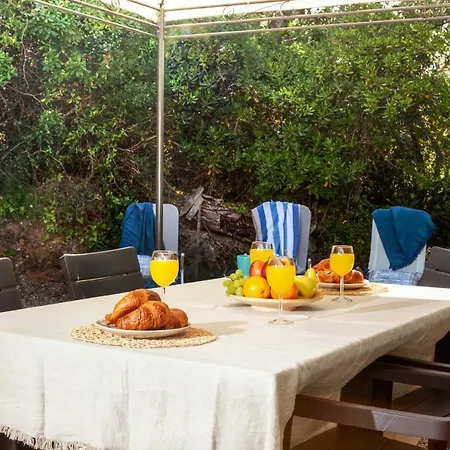 Lets Holidays & Business *