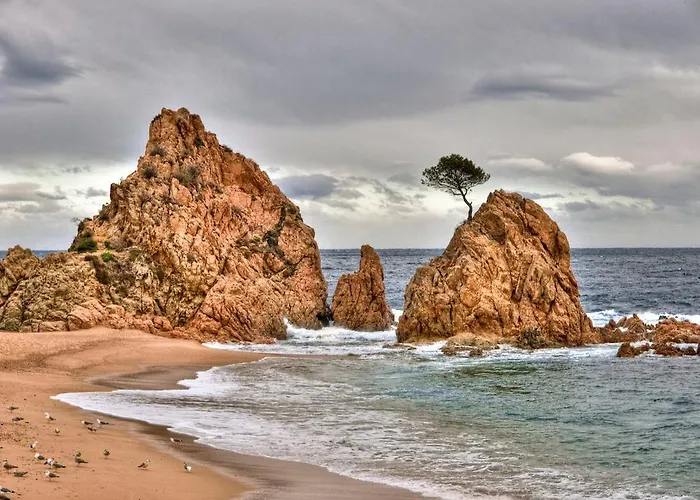 Lets Holidays & Business Vakantiehuis *